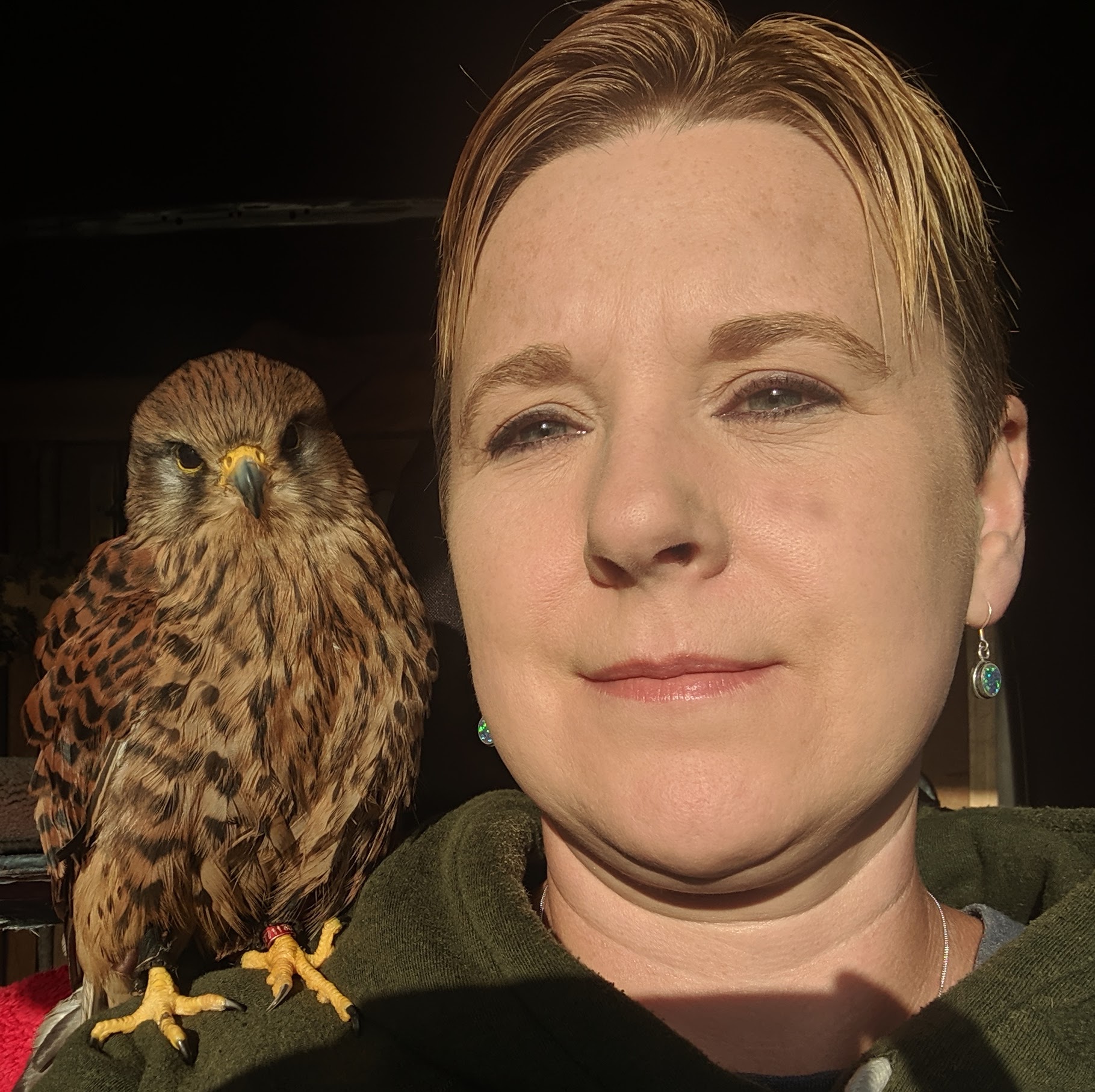 Chapter Four - The Life of an Extraordinary Kestrel