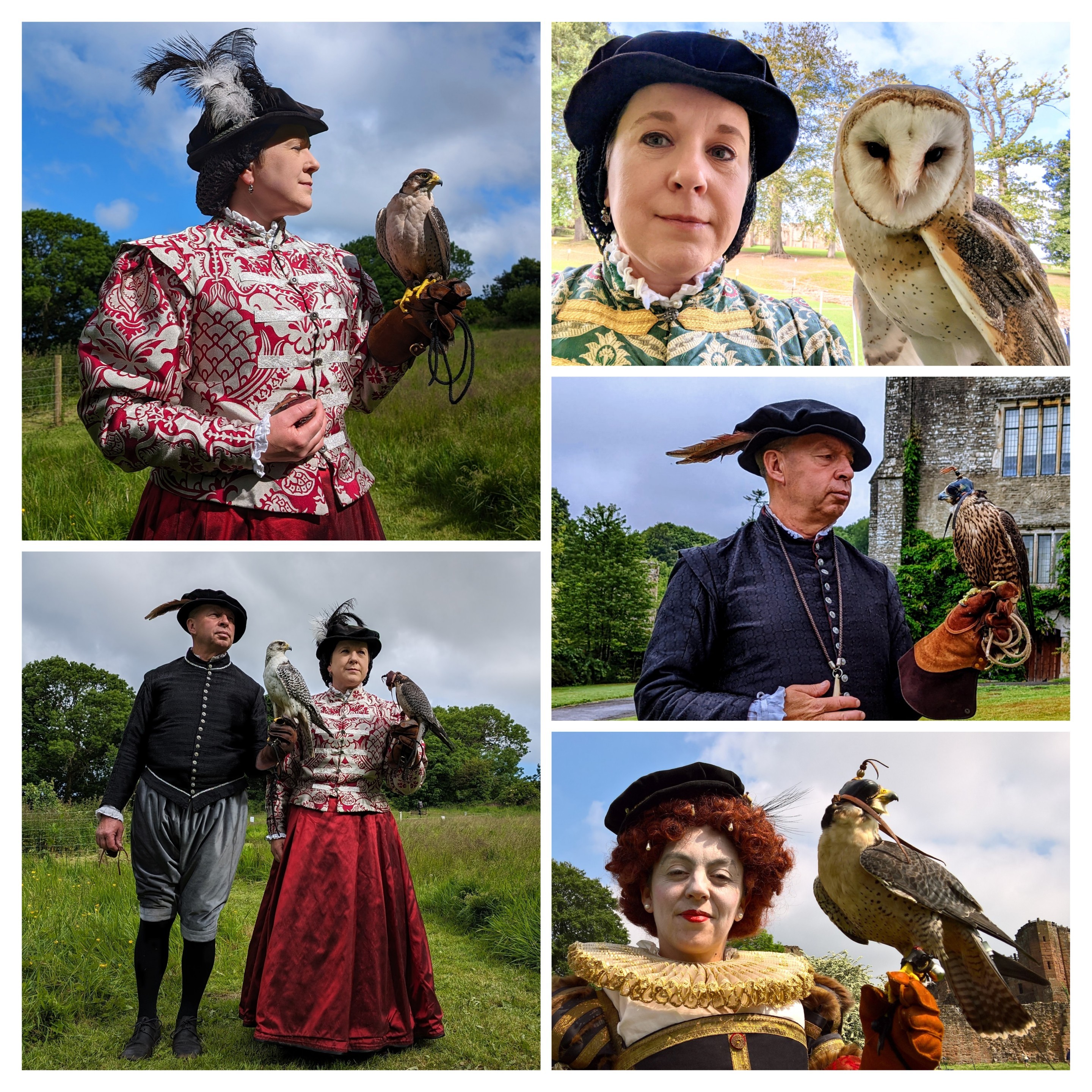 Elizabethan Falconry