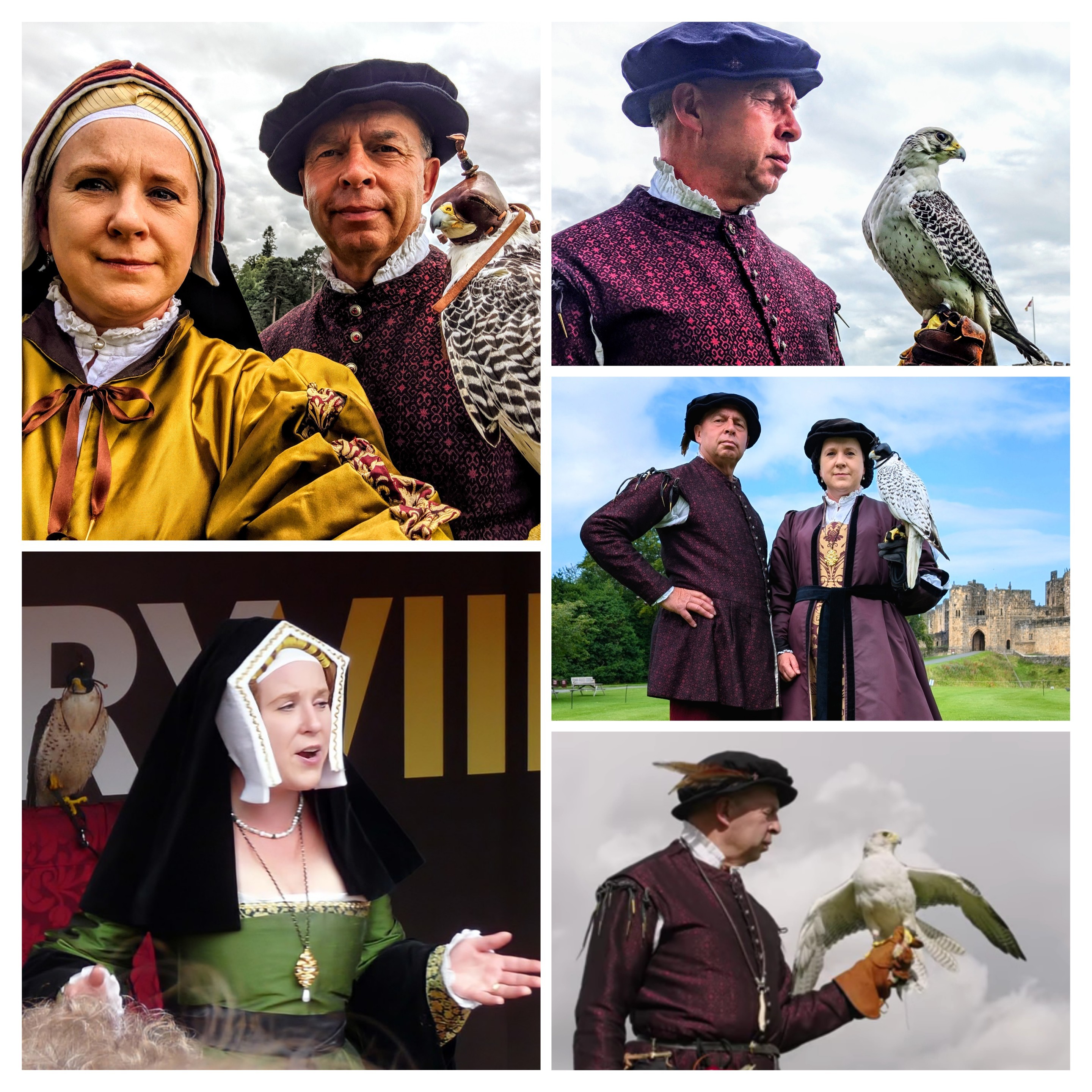 Tudor Falconry